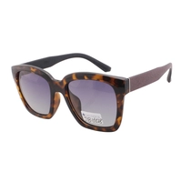 Hot Sale Plastic With Logo Retro Square UV400 Polarized Sunglasses